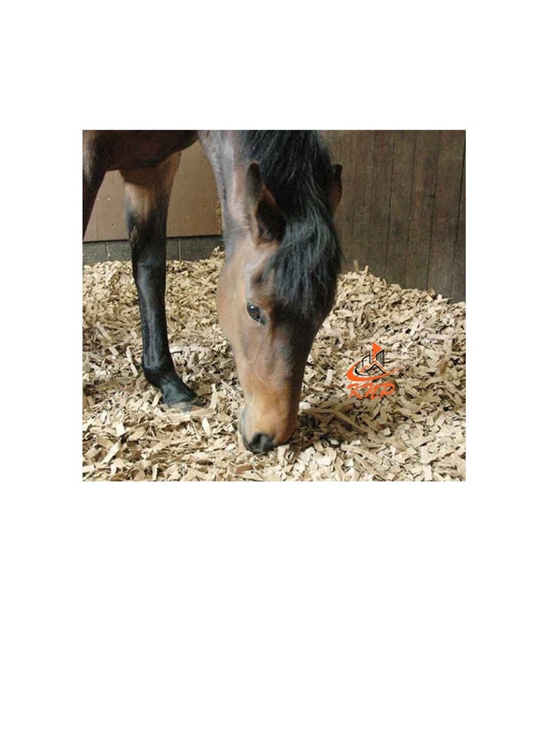 KNP Pine Flakes or Shavings Horse Bedding 14KG 1 bag  - Image 2