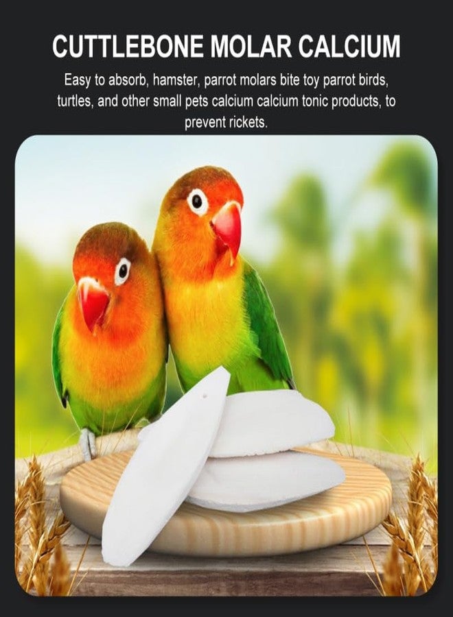 UKCOCO 12 Sets Natural Cuddle Bone Chew Toys, Chewing Cuttlefish Bone Bird Parrot Cage Bite Toys for Parakeets Cockatiel Macaw Conur 10-12CM - Image 4