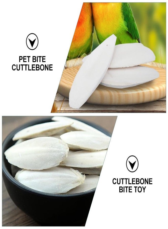 UKCOCO 12 Sets Natural Cuddle Bone Chew Toys, Chewing Cuttlefish Bone Bird Parrot Cage Bite Toys for Parakeets Cockatiel Macaw Conur 10-12CM - Image 3