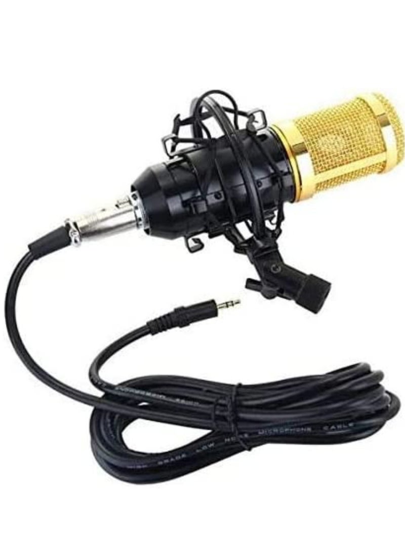 ELTRAZONE Microphone,Live Sound Card & BM800 Suspension Microphone Kit Broadcasting Recording Condenser Microphone Set Intelligent Volume Audio Mixer Sound Card for Computer PC Live Sound  - Image 4