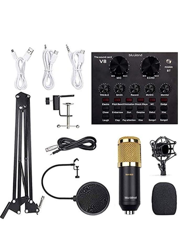 ELTRAZONE Microphone,Live Sound Card & BM800 Suspension Microphone Kit Broadcasting Recording Condenser Microphone Set Intelligent Volume Audio Mixer Sound Card for Computer PC Live Sound  - Image 1