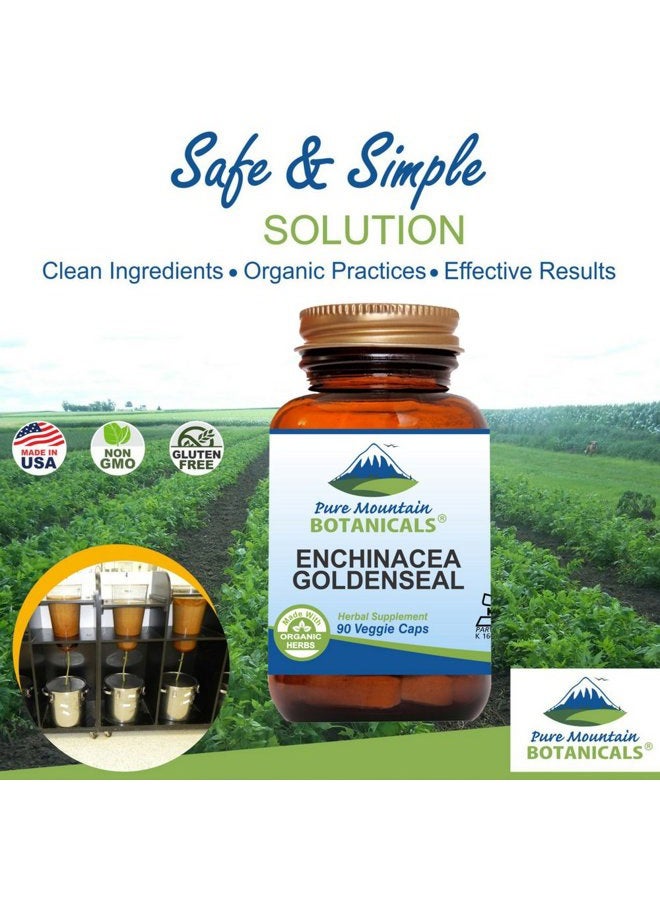 Organic Echinacea Goldenseal Capsules - 90 Kosher Vegetarian Caps - Now with 450mg Echinacea Goldenseal Complex - Nature's Gold Standard Supplement for Immune Support from - Image 3