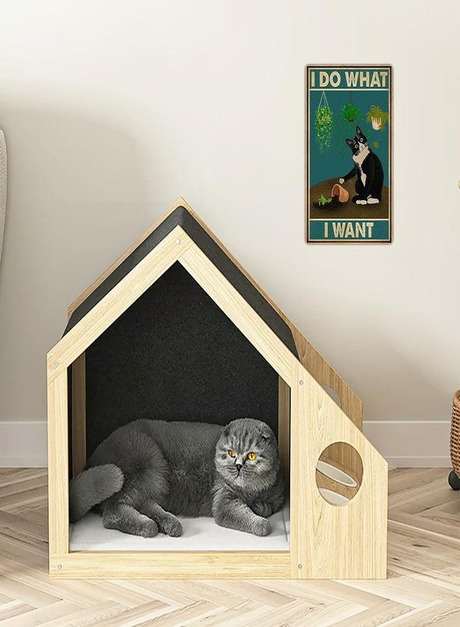 Bestylez Cute Cat Pictures Poster - Catio Accessories & Room Decor Gifts For Cat Lovers - 'I Do What I Want' Sign, 8 x 12 Inch - Image 2