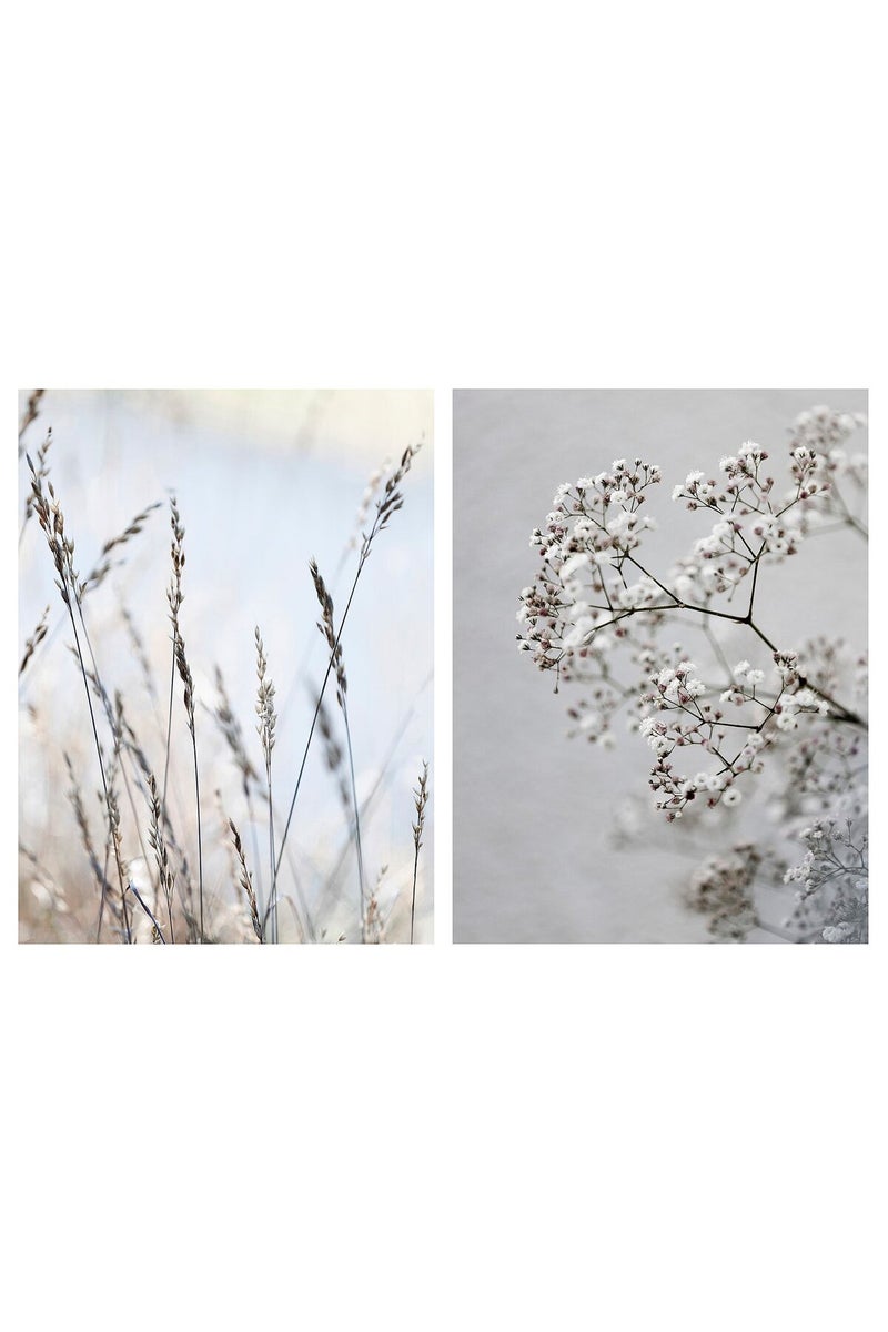Picture, set of 2, meadow grass, 30 x 40 cm - Image 1