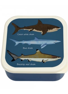 Wild Wonders Lunch Box With Tray