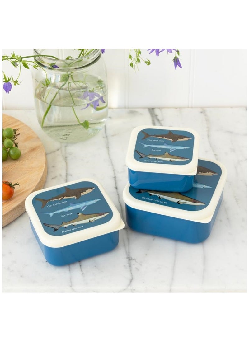 Rex London - Wild Wonders Lunch Box With Tray - Image 1