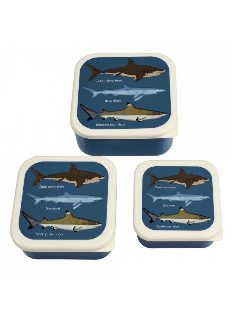 Rex London - Wild Wonders Lunch Box With Tray - Image 1