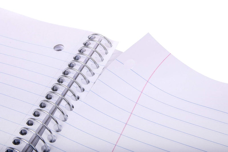Mintra Office Durable Spiral Notebooks, 5 Subject (Sage Green, College Ruled 1pk) - Image 5