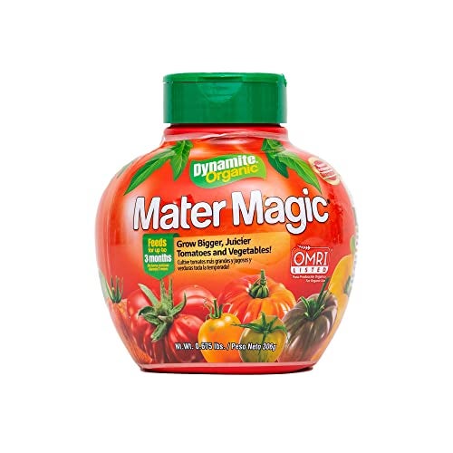 Dynamite Mater Magic - Organic Tomato Fertilizer for Bigger, Juicier Tomatoes and Vegetables, OMRI Listed, Nitrogen and Calcium-Rich Plant Food - .675 Pound Container with Shaker Lid - Image 1