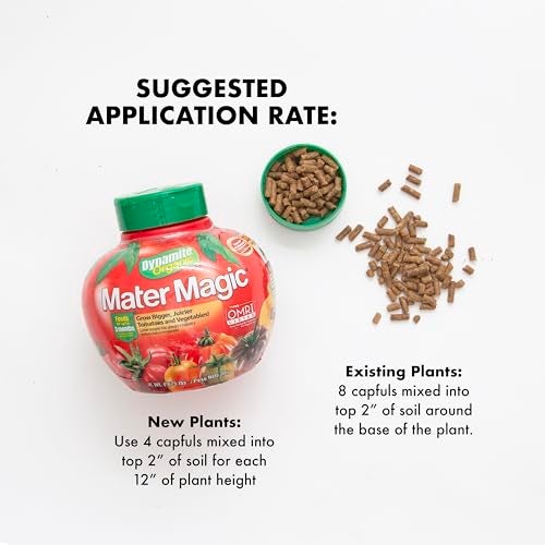 Dynamite Mater Magic - Organic Tomato Fertilizer for Bigger, Juicier Tomatoes and Vegetables, OMRI Listed, Nitrogen and Calcium-Rich Plant Food - .675 Pound Container with Shaker Lid - Image 5