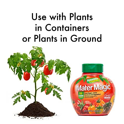 Dynamite Mater Magic - Organic Tomato Fertilizer for Bigger, Juicier Tomatoes and Vegetables, OMRI Listed, Nitrogen and Calcium-Rich Plant Food - .675 Pound Container with Shaker Lid - Image 3
