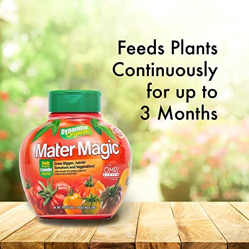 Dynamite Mater Magic - Organic Tomato Fertilizer for Bigger, Juicier Tomatoes and Vegetables, OMRI Listed, Nitrogen and Calcium-Rich Plant Food - .675 Pound Container with Shaker Lid - Image 2