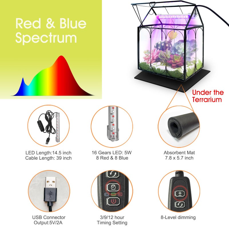Rifny Plant Terrarium Kit with Grow Light, Rifny Large Glass Terrarium Jar with Absorbent Mat and Lid for Venus Fly Trap Succulent Live Air Plants Indoor Home Office Decor (Black, 8.9 x 5.9 x 9.9 inch) - Image 4