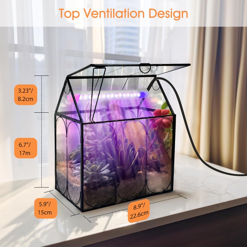 Rifny Plant Terrarium Kit with Grow Light, Rifny Large Glass Terrarium Jar with Absorbent Mat and Lid for Venus Fly Trap Succulent Live Air Plants Indoor Home Office Decor (Black, 8.9 x 5.9 x 9.9 inch) - Image 5