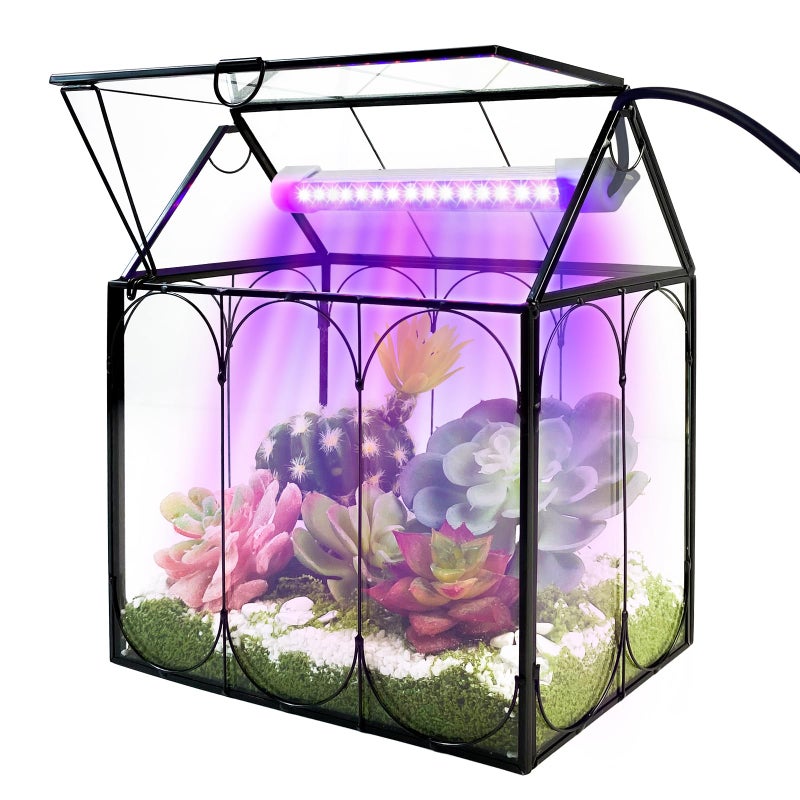 Rifny Plant Terrarium Kit with Grow Light, Rifny Large Glass Terrarium Jar with Absorbent Mat and Lid for Venus Fly Trap Succulent Live Air Plants Indoor Home Office Decor (Black, 8.9 x 5.9 x 9.9 inch) - Image 1