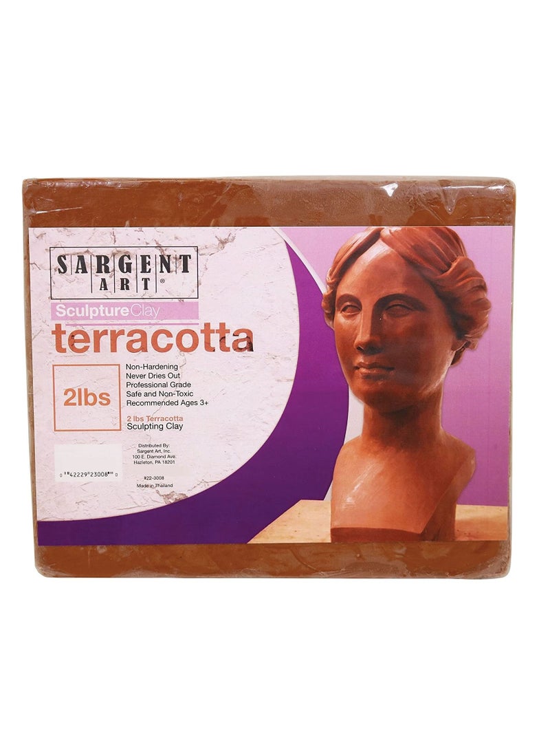 Terracotta Sculpture Modeling Clay 2 Lb - pzsku/Z64C86537005604136F27Z/45/_/1681151245/61d5797f-00d8-431d-9d03-e0f306719a42