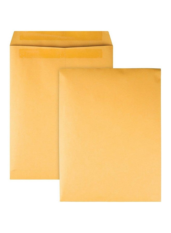 كوالتي بارك مظاريف الكتالوج ريدسيل براون كرافت 9.5 × 12.5 100 لكل صندوق (43667) - Image 1