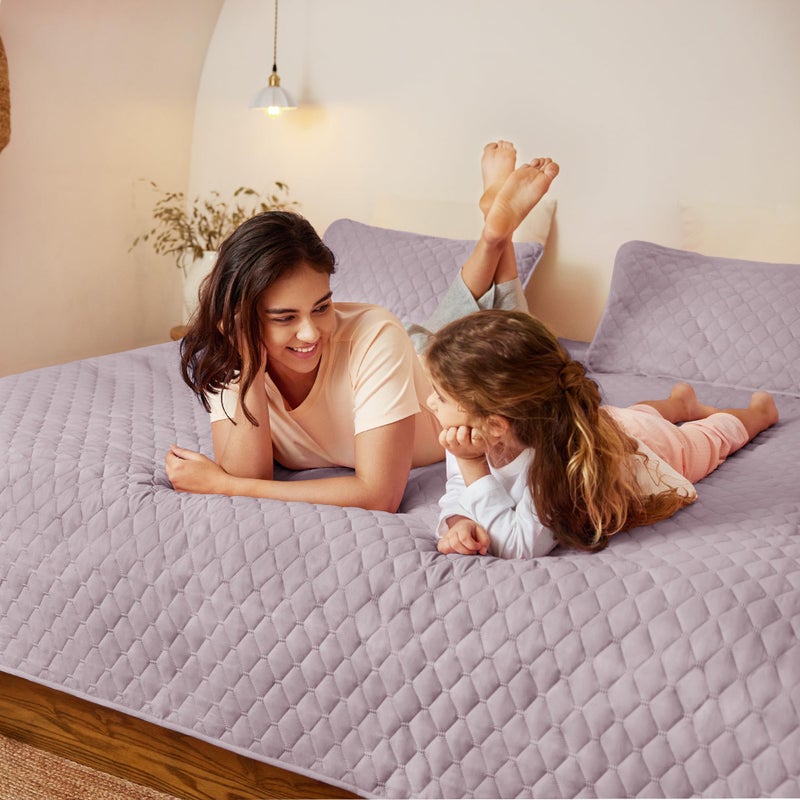 Exclusivo Mezcla طقم لحاف كوين كامل قابل للعكس من إكclusivo ميزكلا مع وسائد، لحاف خفيف الوزن بحجم كوين، أغطية سرير ناعمة لجميع الفصول - (رمادي ليلك، 90"x96") - Image 3