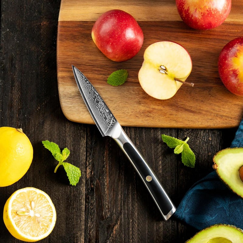 Sunnecko Paring Knife 3.5 Inch, Fruit Knife with 67-layers Damascus Steel VG-10 Blade Small Knife, Peeling Knife with Inlaid Handle Small Kitchen Knife Perfect for Cutting Fruit Vegetables Petty Knife - Image 4