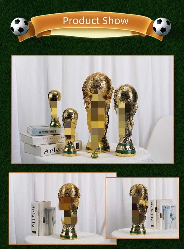 Official FIFA 21cm World Cup Soccer Fan Medallion Collectible  - Image 3
