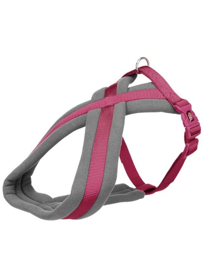 تريكسي حزام سياحة ممتاز للكلاب مصنوع من حشوة من الصوف، قابل للتعديل وخفيف الوزن، حلقة قوية على شكل حرف D تحافظ على الحزام والمقود في مكانهما، مقاس S: 35-65 سم/20 مم، لون أرجواني - Image 2