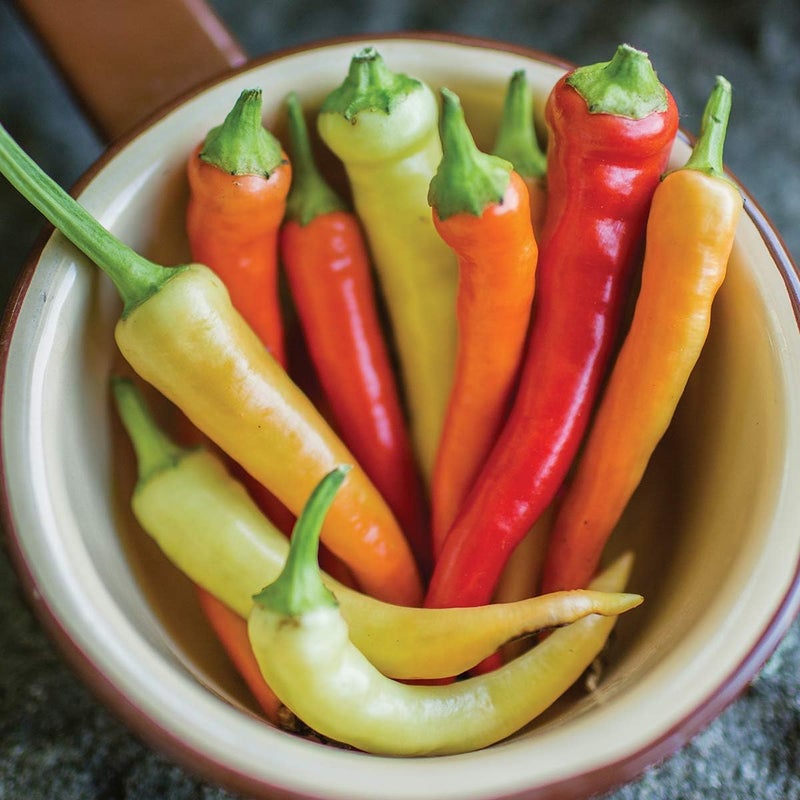 Burpee Sweet Savour Hybrid Sweet Pepper Seeds 25 seeds - Image 4