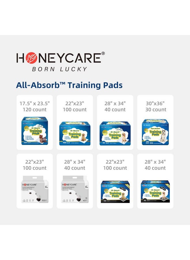 HONEY CARE HONEY CARE All-Absorb, XXL 30"x36", 30 Count, Dog and Puppy Training Pads, Ultra Absorbent and Odor Eliminating, Leak-Proof 5-Layer Potty Training Pads with Quick-Dry Surface, Blue, A39  - Image 4
