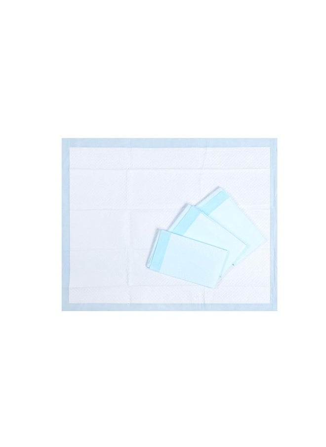 HONEY CARE HONEY CARE All-Absorb, XXL 30"x36", 30 Count, Dog and Puppy Training Pads, Ultra Absorbent and Odor Eliminating, Leak-Proof 5-Layer Potty Training Pads with Quick-Dry Surface, Blue, A39  - Image 2