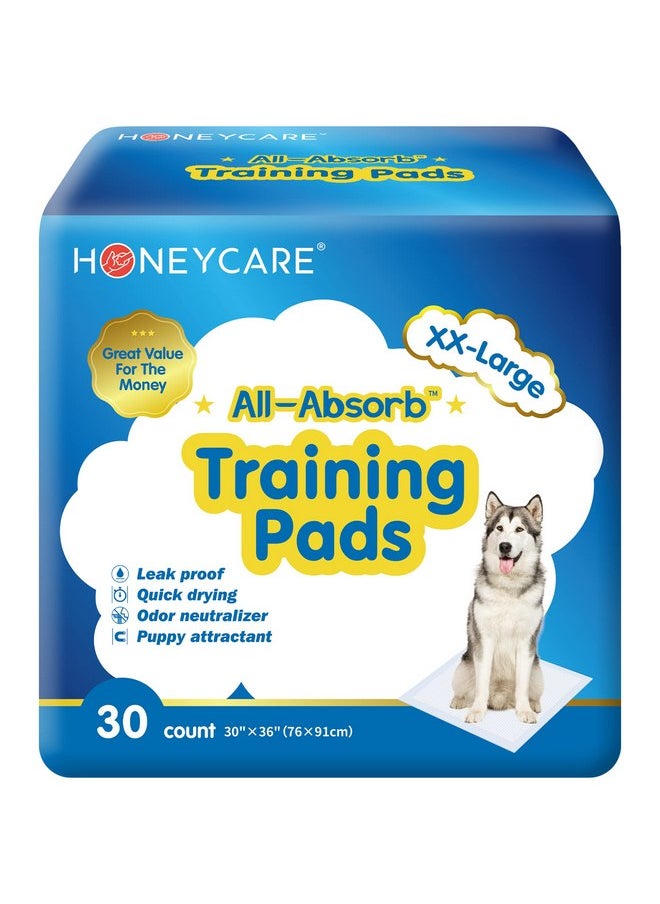 HONEY CARE HONEY CARE All-Absorb, XXL 30"x36", 30 Count, Dog and Puppy Training Pads, Ultra Absorbent and Odor Eliminating, Leak-Proof 5-Layer Potty Training Pads with Quick-Dry Surface, Blue, A39  - Image 1