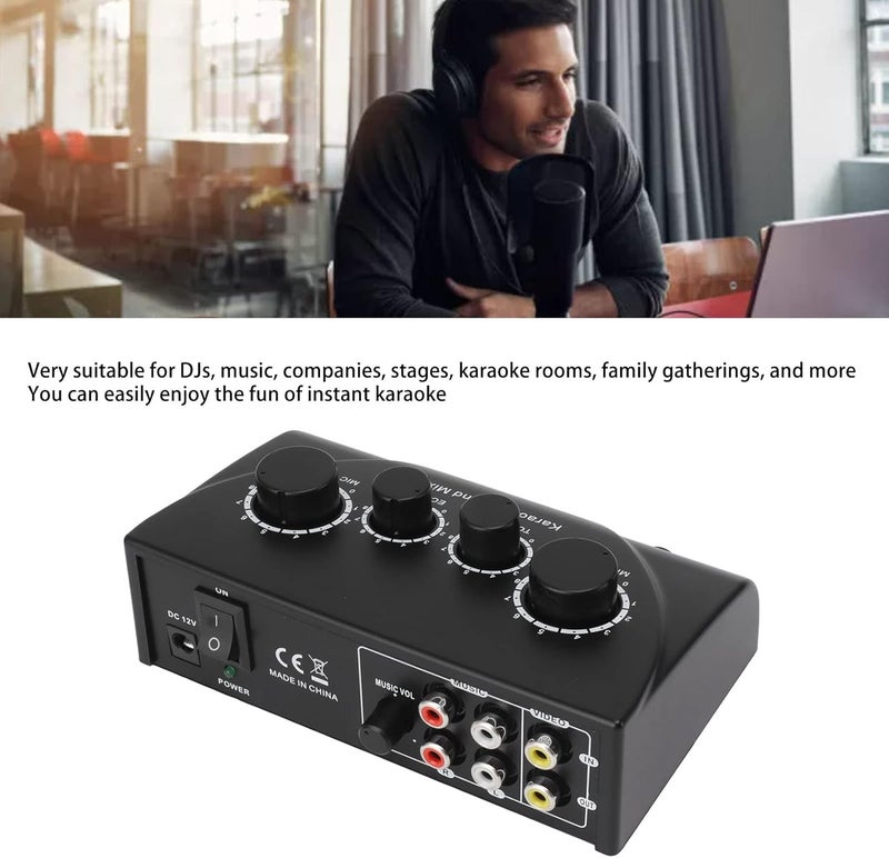 Drfeify Audio Mixer Portable Sound Mixer with Dual Mic Input 1/4" Video Input Adjustable Volume for Karaoke DJ Home Theater Speakers (DrfeifyyNAWHoPT-13) - Image 5