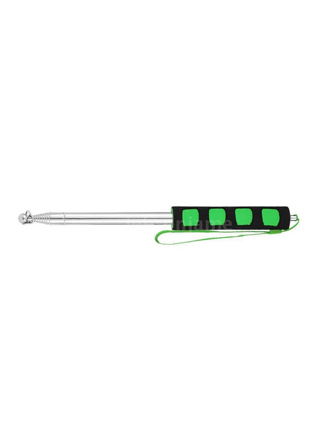 NIBEMINENT Stainless Steel Telescopic Flag Pole Green/Silver  - Image 2