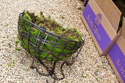 SuperMoss (21508) Preserved Sheet Moss, Fresh Green, 5 Pounds - Image 4