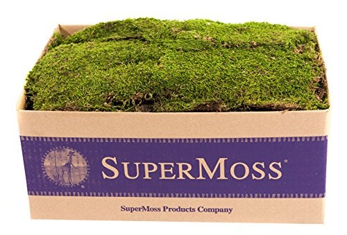 SuperMoss (21508) Preserved Sheet Moss, Fresh Green, 5 Pounds - Image 2