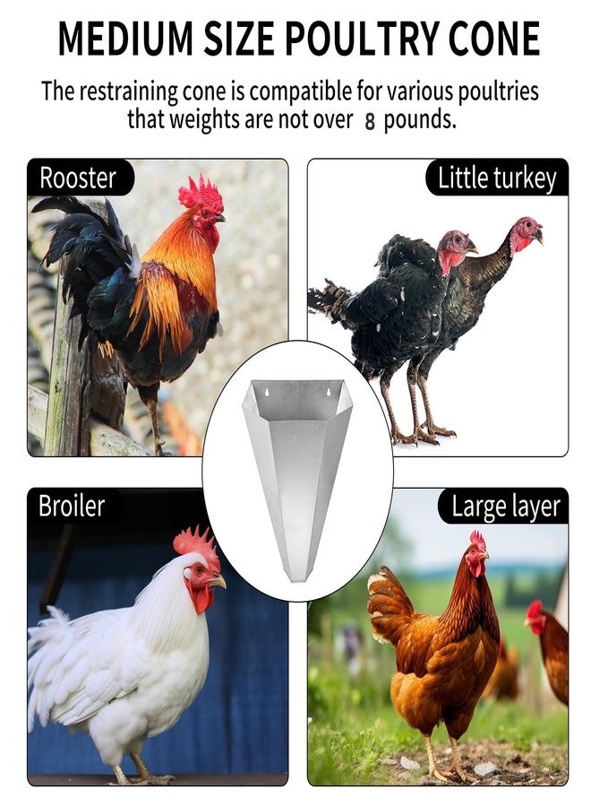 Holdly Galvanized Steel Poultry Restraining Cone for Chicken,for Large Layers, Broilers, Roasters, Turkeys Up to 8 Pounds Flat-Back Poultry Killing Cone Easy to Clean, (T15) - Image 5