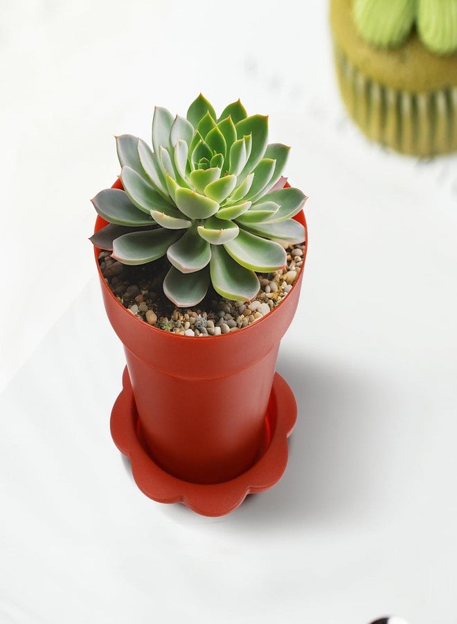 HAKIDZEL 10 Pack Dessert Cups Pudding Yogurt Ice Cream with Tray Small Flower Pot Mousse Cups for Party Mini Clear Plastic - Image 4