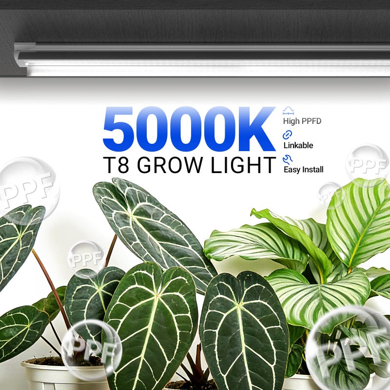 Barrina T8 Grow Lights for Indoor Plants, 4FT Full Spectrum Grow Light, 168W(4 x 42W), Plant Lights for Greenhouse Indoor Growing, V-Shape with Reflector, Linkable, 5000K Daylight White, 4 Packs - Image 2