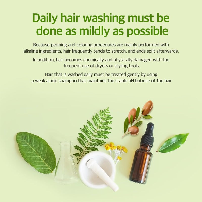 Kerasys Hair Clinic Tea Tree Oil 33.8 fl oz / 1L (Shampoo + Conditioner Set) - Image 3
