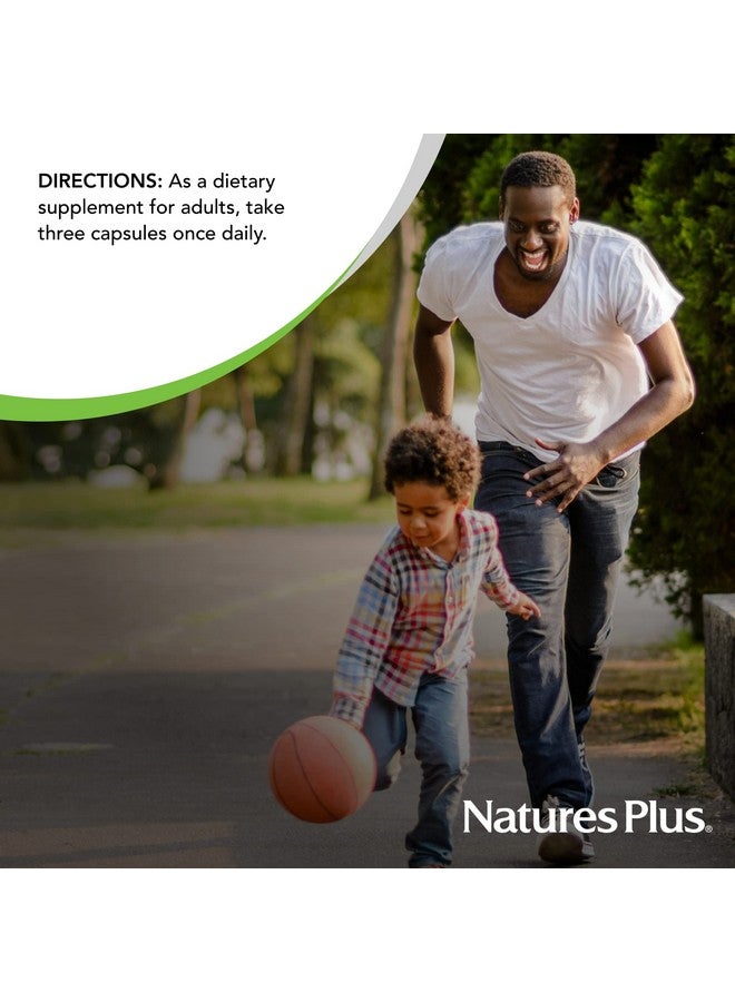 NaturesPlus Natures Plus AgeLoss Prostate Support - 90 Capsules - with Zinc, Lycopene, Vitamin E, Pumpkin Seed & Saw Palmetto - Vegetarian, Gluten Free - 30 Servings - Image 5