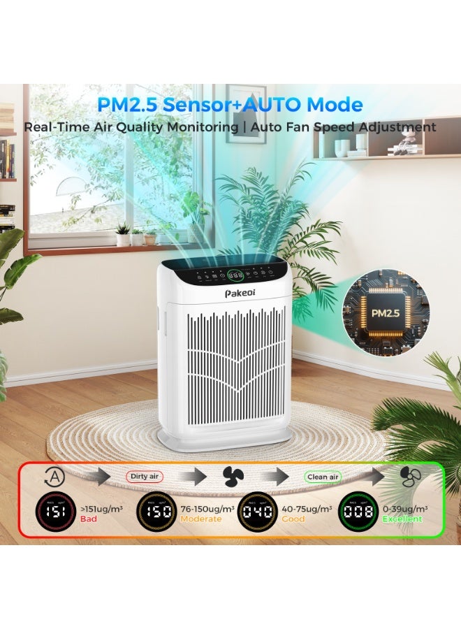 Pakeoi Air Purifier for Large Rooms, Double Air Intake, Washable Pre-Filters, 15dB Sleep Mode, for Pet Dander & Dust - White - Image 5