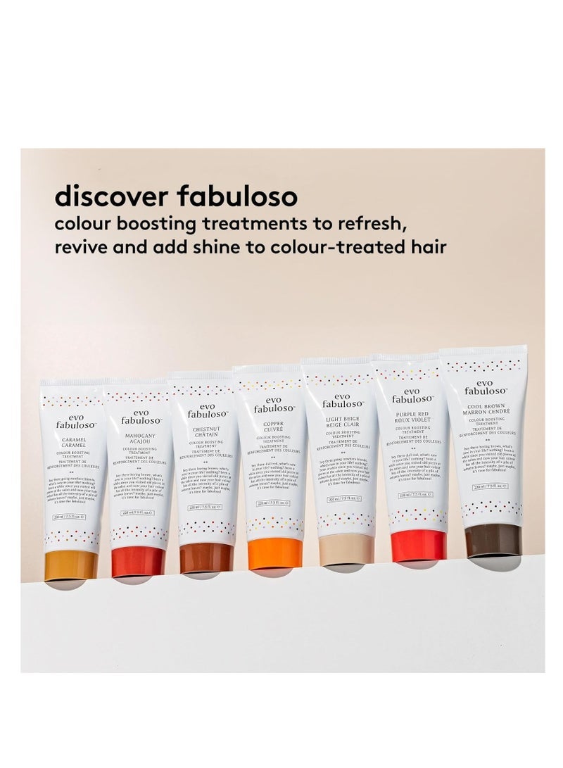 إيفو فابولوسو علاج تعزيز لون الماهوجني 220 مل - Image 3