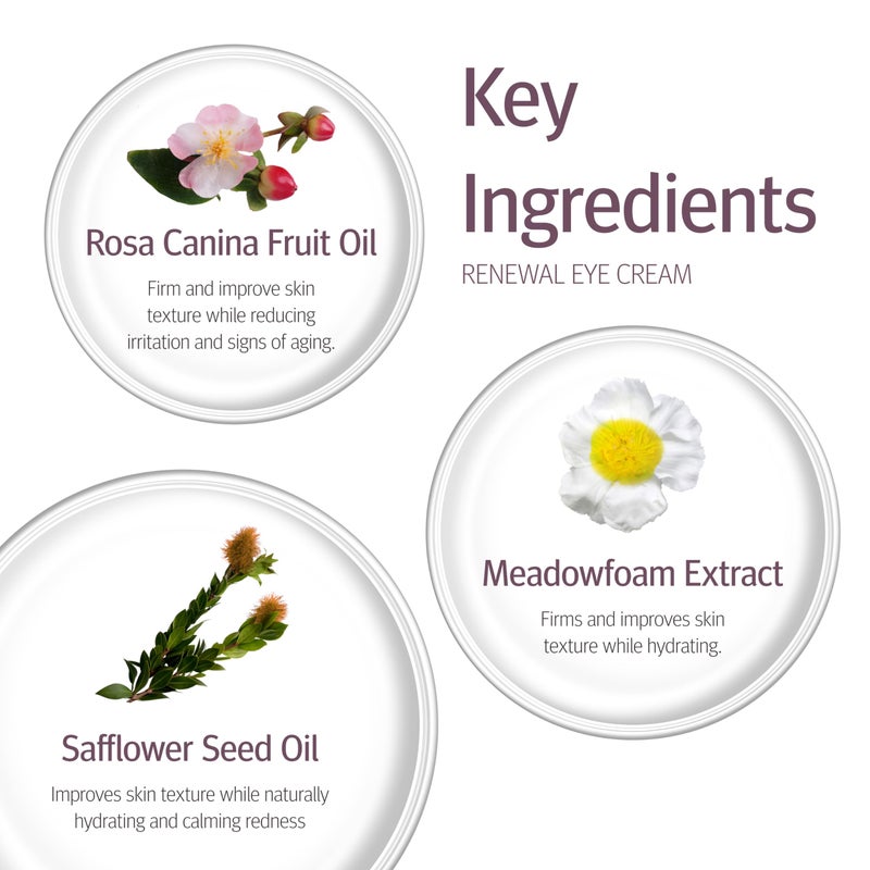 Epionce Renewal Eye Cream - Anti-Aging, Under Eye Cream for Dark Circles, Fine Lines, Wrinkles & Puffiness with Hyaluronic Acid, For All Skin Types, Dermatologist Skincare - Image 5