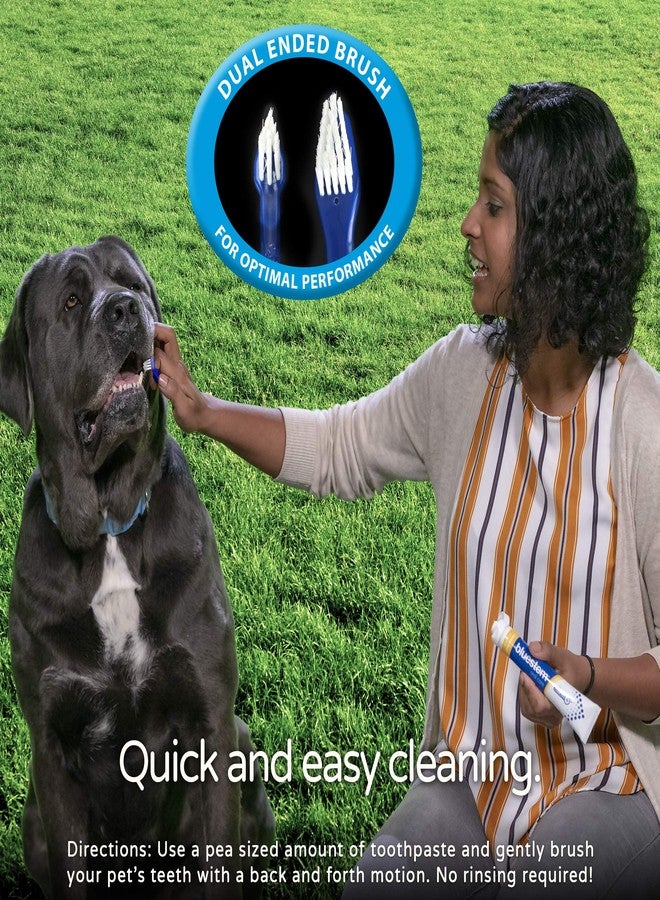 Bluestem toothbrbluestem Pet Toothbrush Set - Includes 2 Double-Sided Dog and Cat Tooth Brushes - Gentle Yet Effective Pet Teeth Cleaning Kit - Image 3