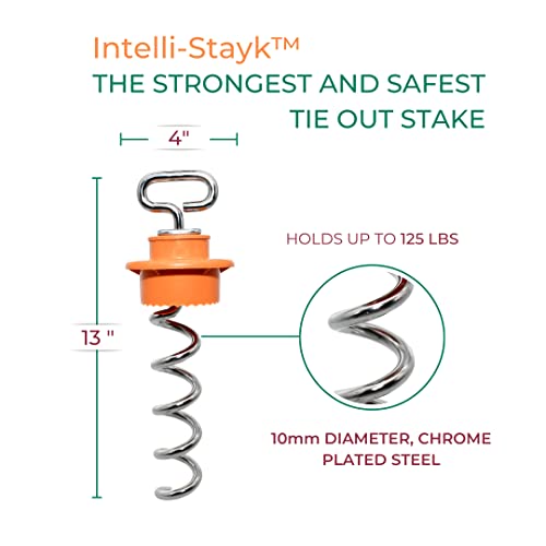 IntelliLeash Intelli-Stayk: 4" Diameter with Exclusive Surface-Lock Technology for Pulling and Bending Prevention - Image 2