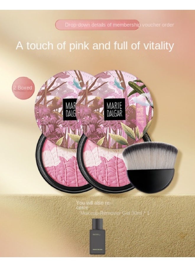 vitality Airflow Three-color Blush & Highlighter Palette With Brush For 3d Natural Look / Makeup Remover Gel - Image 1