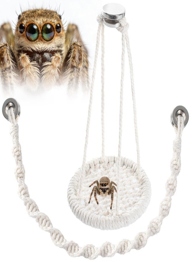 Addveyra Jumping Spider Bridge Climbing Rope Swing Terrarium Enclosure Accessories - Image 1