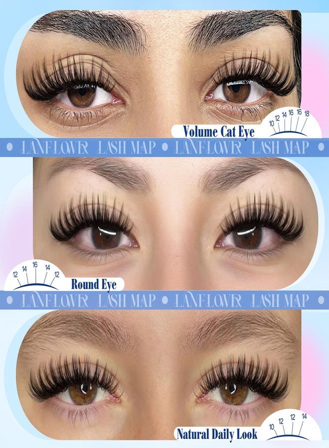 LANFLOWER Flora Lash Clusters Kit Wispy Cluster Eyelash Extensions Natural Lash Extension Kit CD Curl Eyelash Clusters Kit Manga Cluster Lashes Thin Band Individual Lashes by Lanflower - Image 3