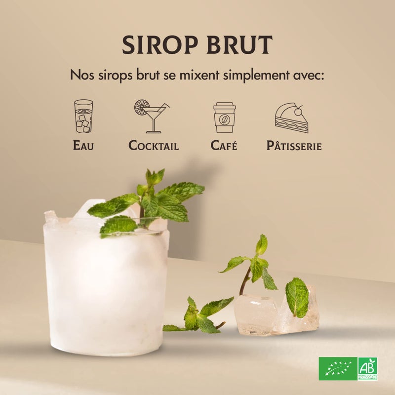 Bacanha - Raw Organic Mint Syrup | 13.53 Fl Oz (One 400ml Glass Bottle) | Imported from France - Image 4