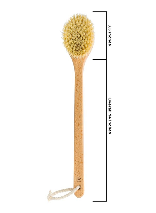Redecker 100% Made in Germany Round Pig Bristle Bath Brush with Oiled Beechwood Handle, 14-1/5-Inches - Image 3