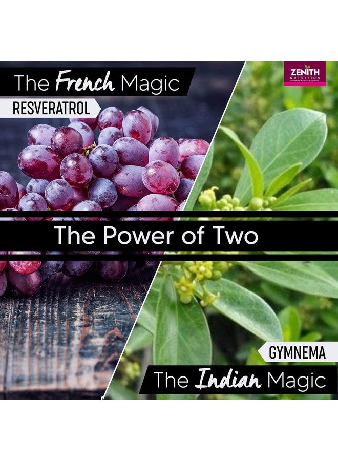 Zenith Nutrition Resveratrol Plus with Gymnema Sylvestre - 60 Capsules - Image 4