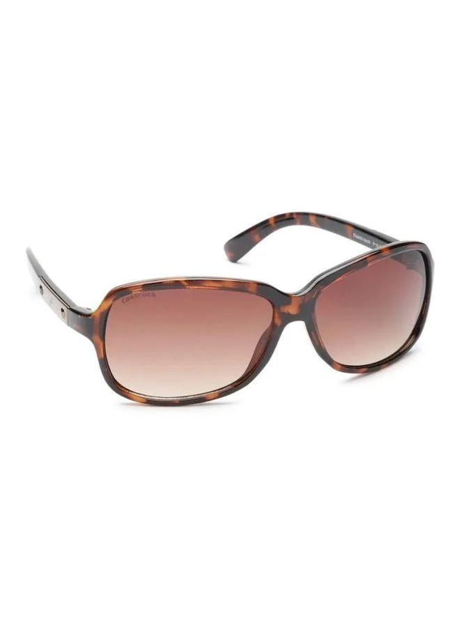 fastrack Brown Bugeye Women Sunglasses (P161BR1F|58)